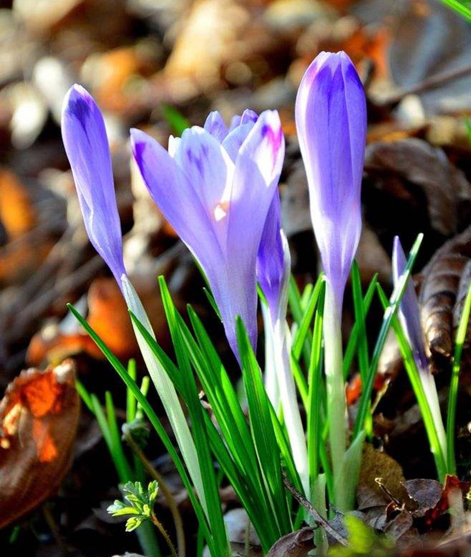 太阳集团电子游戏(中国区)官方网站