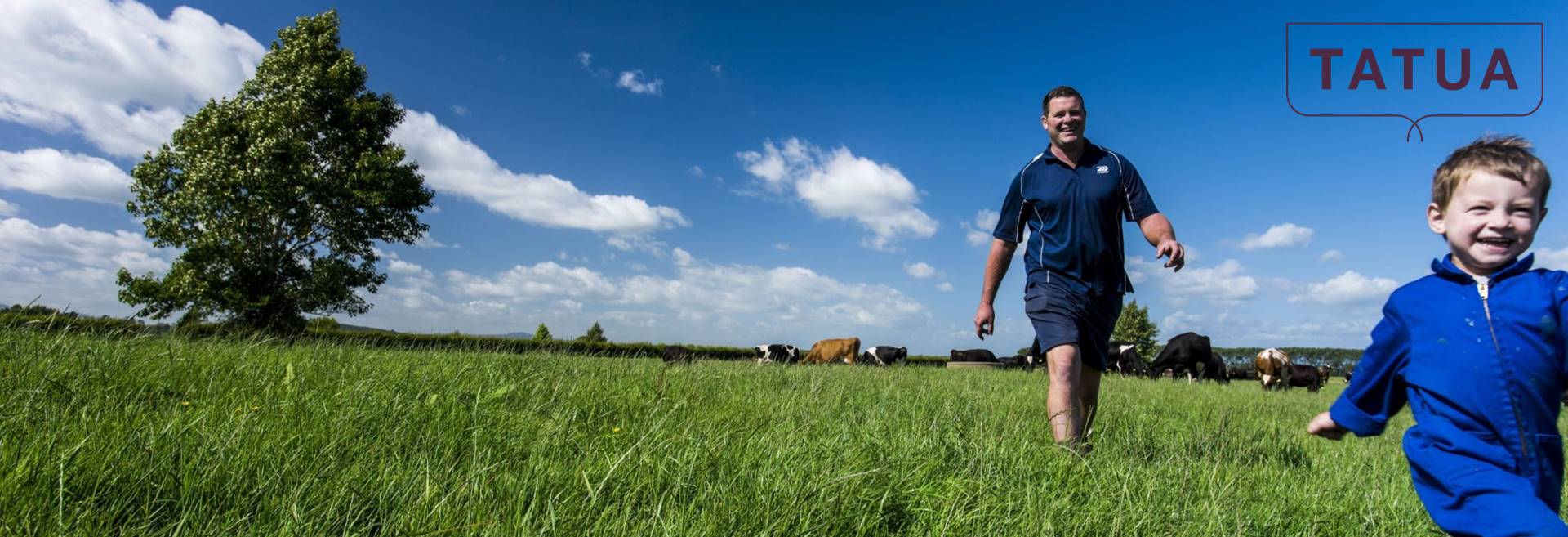 太阳集团电子游戏(中国区)官方网站