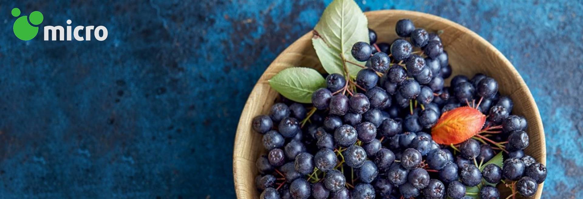 太阳集团电子游戏(中国区)官方网站