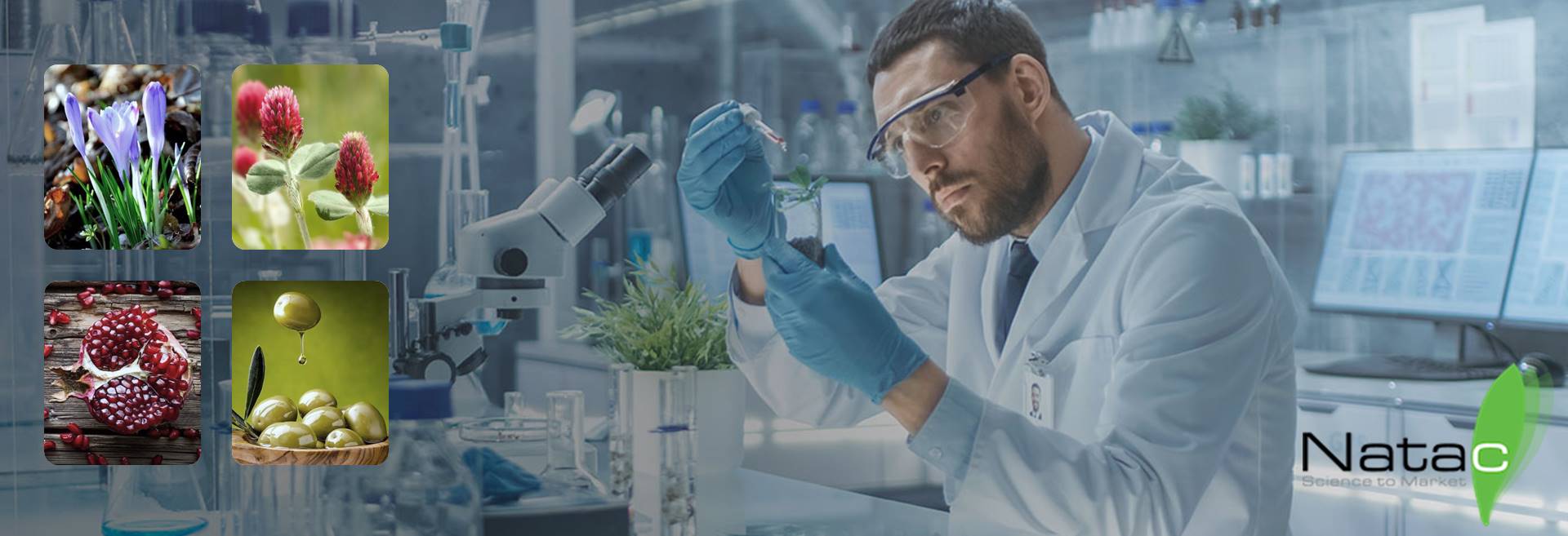 太阳集团电子游戏(中国区)官方网站