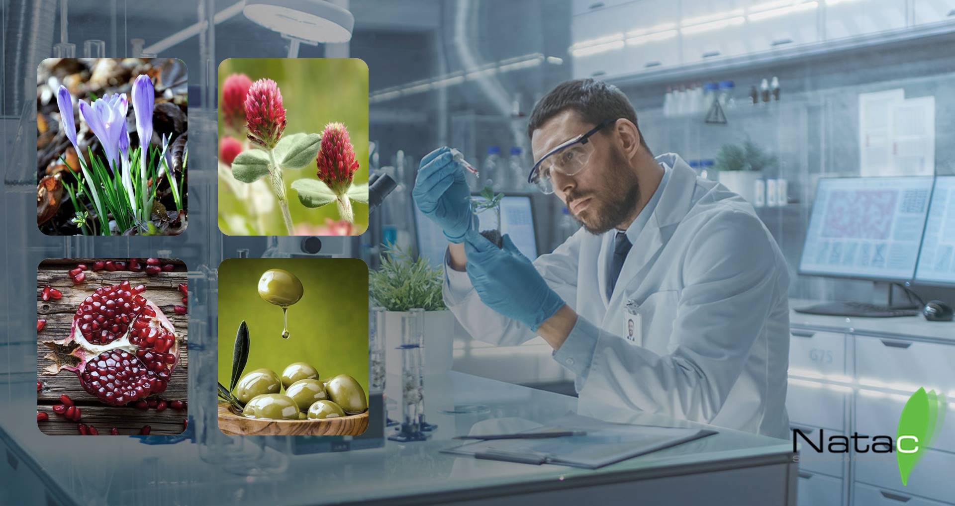 太阳集团电子游戏(中国区)官方网站