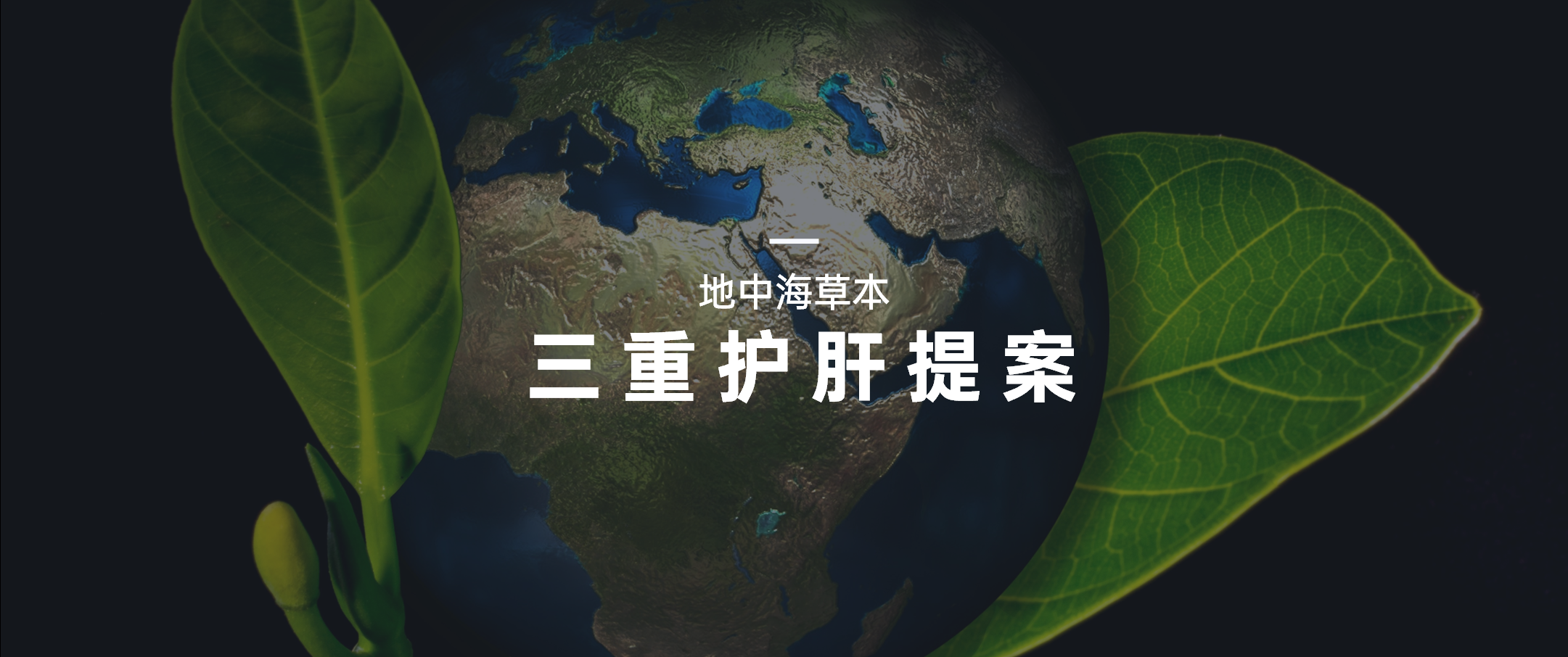 太阳集团电子游戏(中国区)官方网站