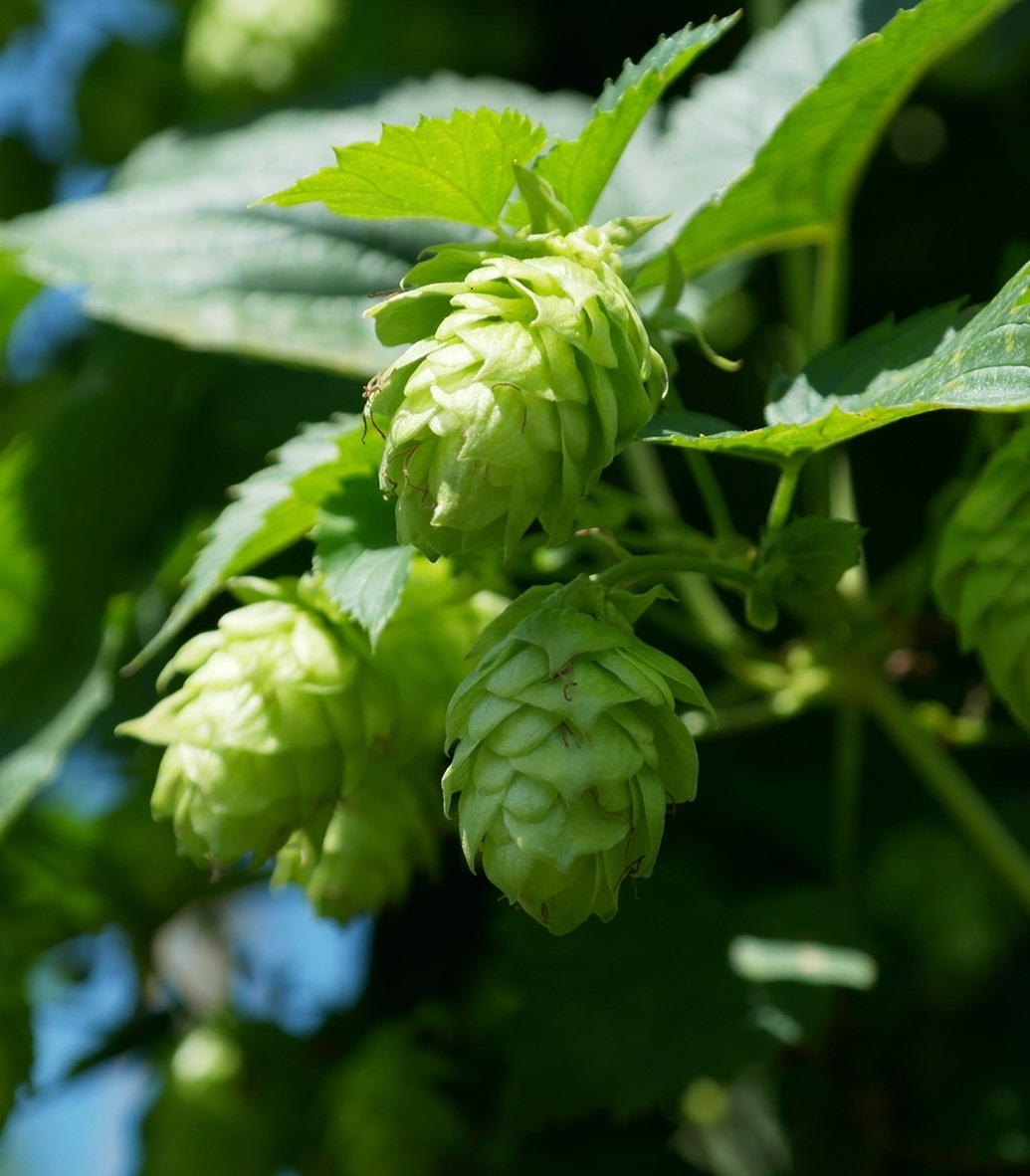 太阳集团电子游戏(中国区)官方网站